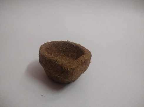 Homemade Panchagavya Gobar Diya | Vilakku or Deepam