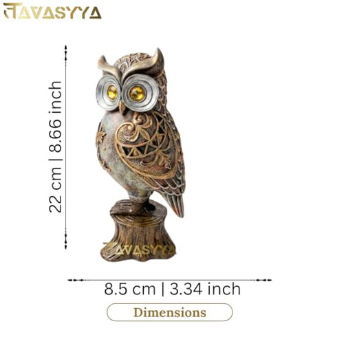 Premium Owl Statue Maa Lakshmi Vahan Owl Figurine for Wealth & Protection