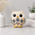 Owl Showpiece for Home Decor, Resin Figurine with Gold Detailing Lucky Evil Eye Owl Statue for Living Room
