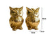 Chocozone Owl Showpiece for Good Luck Vastu Feng Shui Items for Home Decor Figurines Decorative Items
