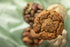 Cafe Niloufer Dry Fruit Biscuits Premium Pack
