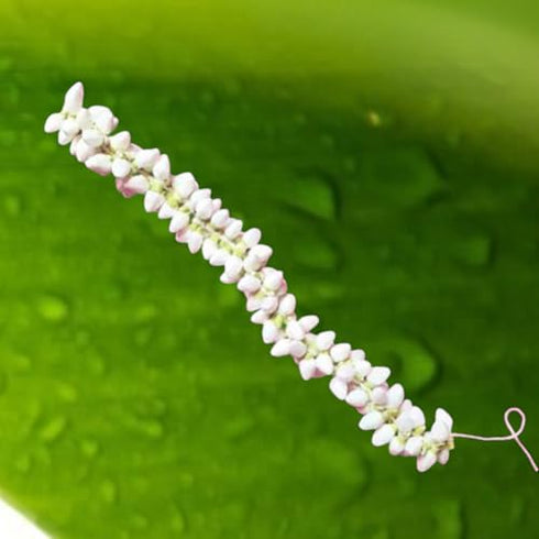 Artificial Jasmine Flower Hair Accessory White and Green Reusable Bridal Women Hair Decoration