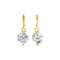 Miss Highness 925 Sterling Pure Silver Earrings for Women