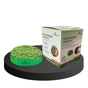 Seed Basket Complete Microgreens Growing Diy Kit