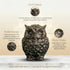 Owl for Dhan Wealth Protection | Vastu Feng Shui Money Attraction Owl