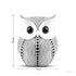 Modern Classy Lucky Owl Resin Art Figure Showpiece