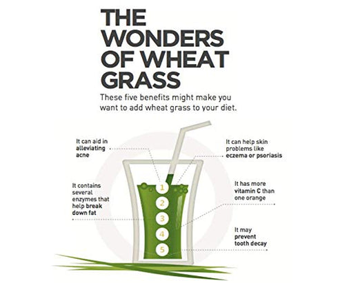 Herbal Hills Ayurveda Wheat-O- Powder
