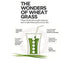Herbal Hills Ayurveda Wheat-O- Powder