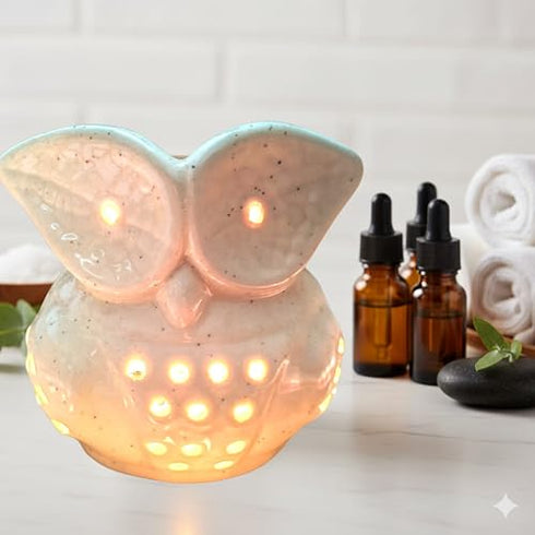 Ceramic Owl Shape Electric Essential Oil Diffuser | Perfect for Home Decor & Relaxation