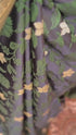 Vasthrlay Green Kanjivaram Saree