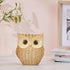 Modern Classy Happy Owl Resin Art Figurine | Beautiful Home Decor