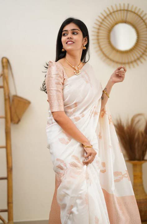 Vasthrlay Banarasi Saree