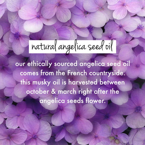Love Beauty And Planet Rice water and Angelica Seed oil Curl Defining Gel