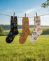 Ecoright Joyride ( Pack of 3 ) Crew Socks