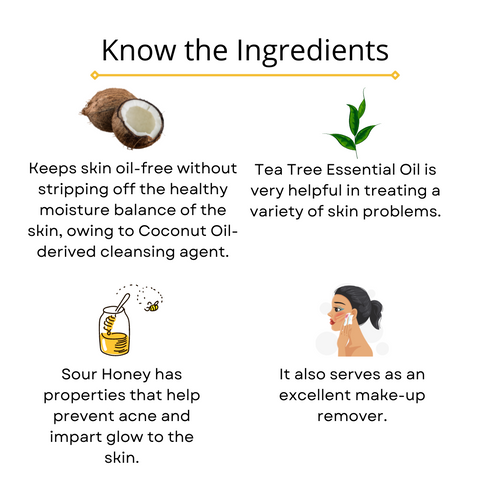 Omorfee India Tea Tree Cleansing Milk