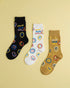 Ecoright Joyride ( Pack of 3 ) Crew Socks