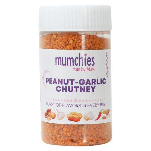 My Store Peanut-Garlic Chutney