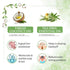 Keya Seth Aromatherapy Rosemary Tea Tree Coconut Hair Growth Serum