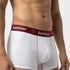 Bummer Cotton Stretch Trunks - Blanc