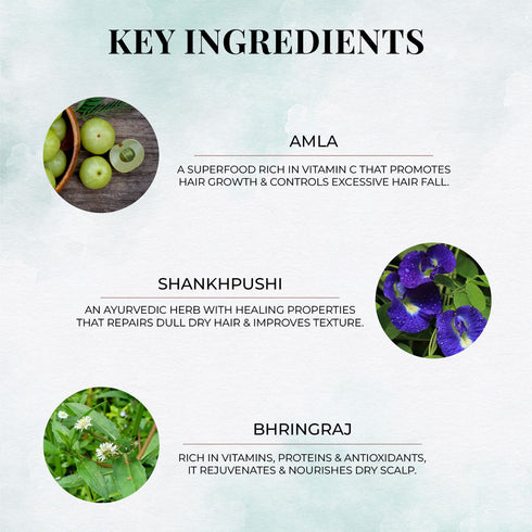 Just Herbs Shirolepam Hair & Scalp Treatment Mask