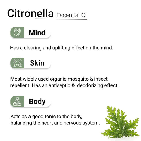 Keya Seth Aromatherapy Citronella Essential Oil