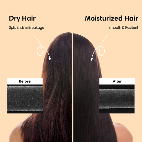 Theearthcollective in Hair Moisturizer Best Leave In Conditioner for Dry Frizzy Curly Hair Goji Berry Oat & Sunflower
