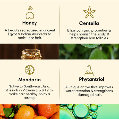 Theearthcollective in Dry & Damaged Hair Cleanser Shampoo 500ml Refill Pack Honey Centella and Mandarin