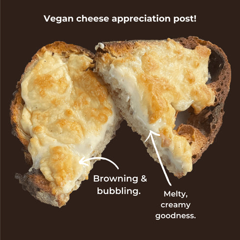 Nourish You Plant based cheese bundle