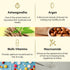 Theearthcollective in Revitalizing Hair Spa For Weak and Thinning Hair Ashwagandha Argan & Multi Vitamins