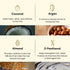 Theearthcollective in Traveller's Spa Hair Mask For Instant Spa like Experience Coconut Argan & Almond