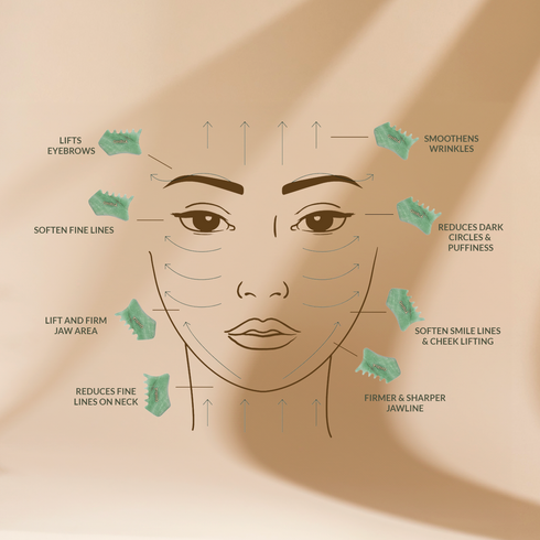 Ohria Ayurveda Face Firming Combo
