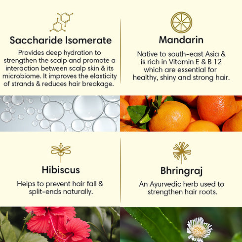 Theearthcollective in Hair Vitalizing Spray For Breakage Prone Hair Bhringraj Hibiscus & Mandarin