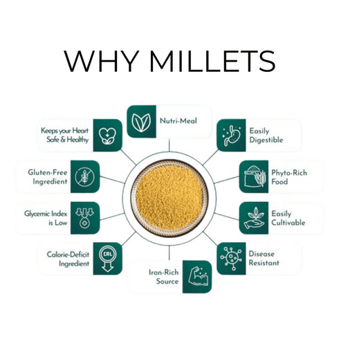 Drym foods Millet Biryani