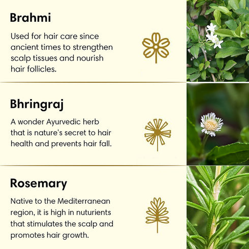 Theearthcollective in Anti Hair Fall Hair Oil For Weak & Thinning Hair Brahmi Bhringraj & Rosemary