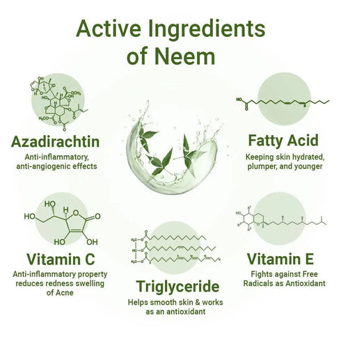 Keya Seth Aromatherapy Neem Essential Skin Care Routine Kit