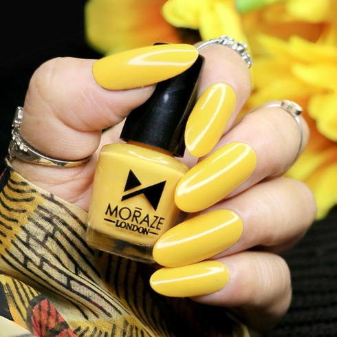 Moraze Cosmetics Premium Summer Nail Polish Kit