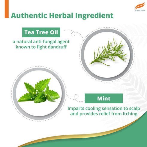 Himalaya Herbals Anti-Dandruff Cooling Mint Shampoo