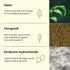 Theearthcollective in Combo Pack Anti Dandruff Hair Cleanser & Conditioner Pack