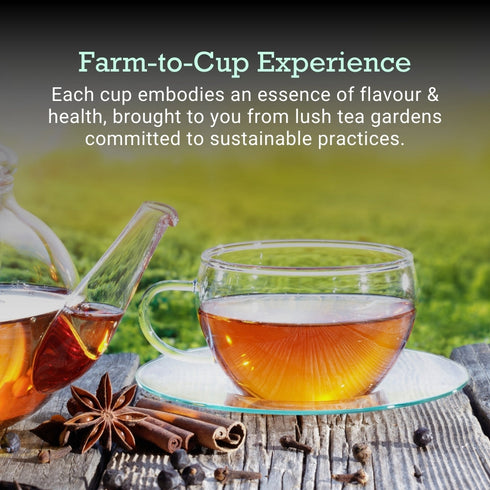 First Bud Organic Mint Tea