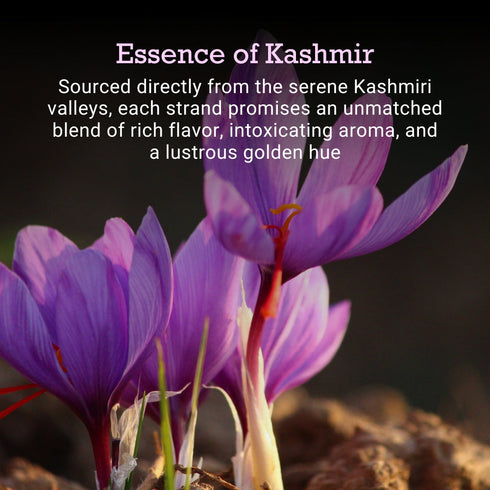 First Bud Organics Kashmiri Mogra Saffron