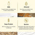 Theearthcollective in Protein Nourishment Hair Mask For Undernourished Hair Milk Almond & Soya