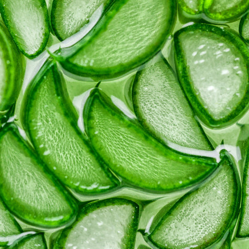 Dr Elie Organics Hydrating & Moisturizing Aloe Vera Gel