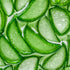Dr Elie Organics Hydrating & Moisturizing Aloe Vera Gel