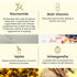 Theearthcollective in Scalp Tonic A Multi purpose Scalp Serum Ashwagandha Jojoba & Multi Vitamins
