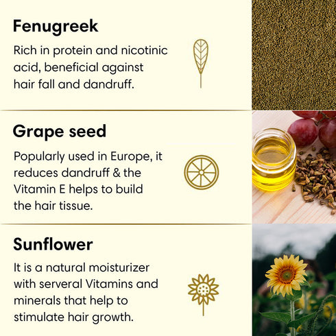 Theearthcollective in Anti Dandruff Hair Oil For Flaky Scalp Fenugreek Grape Seed & Sunflower