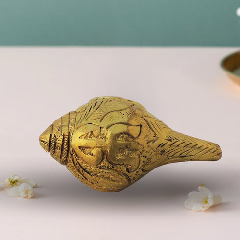 Brass Shank Conch 0.12Kg