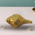 Brass Shank Conch 0.12Kg