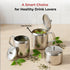 Vinod Stainless Steel 3 Pieces Jumbo Tea Set 1400 ml Tea Pot 250 ml Milk Pot and 250 ml Sugar Pot Highest Grade Steel Mirror Finish Rust Free