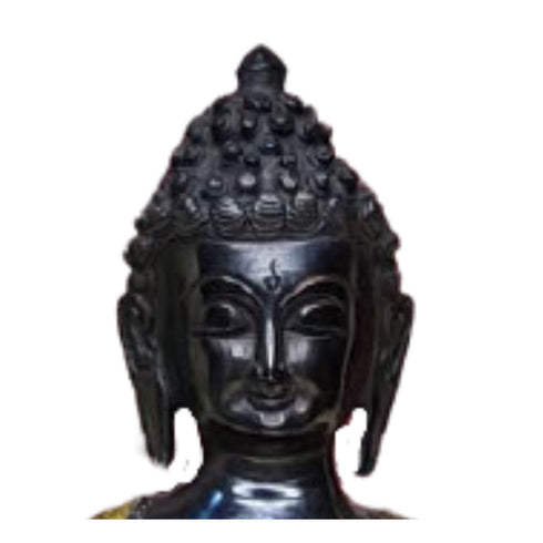 Tamas Brass Handcrafted Lord Buddha Statue / Idol with Antique Finish (Golden & Black) (Pack of 1)