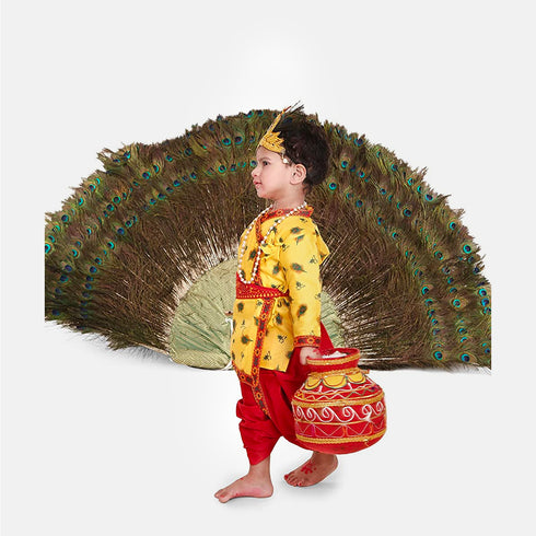 Raj Fancy Dresses Radha and Krishna Feather| Print Janmashtami Mythological Character Costume